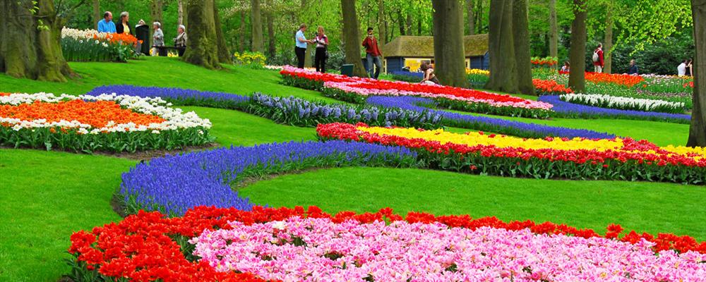 Keukenhof Park